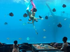 -瑞德姆美人鱼海底演艺主题餐厅(亚龙湾店)