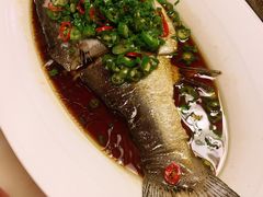 仙骨鱼-伙靠·江浙菜(田林路店)
