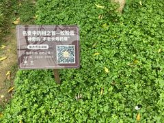 -广西壮族自治区药用植物园