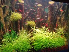 -多彩贵州城极地海洋世界