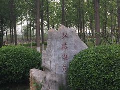 -永定河休闲森林公园