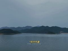 -望湖烤鱼