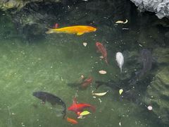 -魏铭鱼头捞饭(晋阳路店)