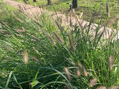 -汉长安城未央宫国家考古遗址公园