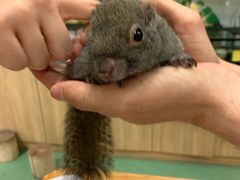 -藦茜花园宠物主题亲子互动体验馆(国顺东路店)