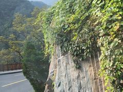 -泰山风景名胜区