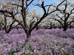 -江苏三台山国家森林公园