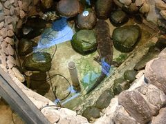 -印象鲵宴·张家界地标美食名片(溪布街店)