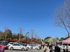 -中国西峡恐龙遗迹园