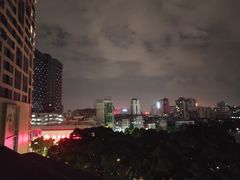 -岭南站NOVA