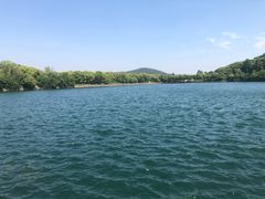 -田园东方蜜桃村的田野营地