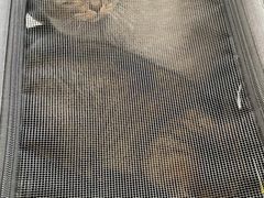 -中农国际动物医院24小时·猫科·骨科·急重症中心