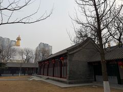 -护国法轮寺