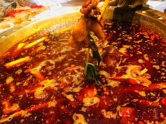 -红辣椒·川菜·火锅(科华路店)