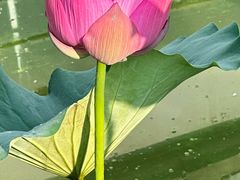 -苏州河梦清园环保主题公园