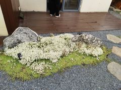-九福楼大酒店