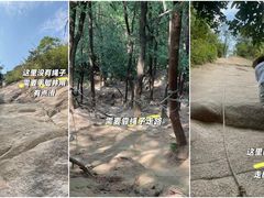 -灵岩山风景区