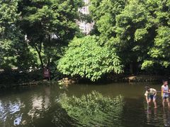 -成都市活水公园