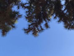 -沈阳药科大学