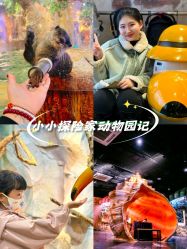 -Zoolung Zoolung动物主题公园(海信广场店)