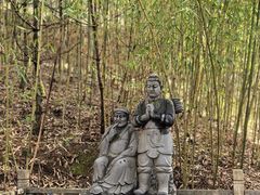 -王顺山国家森林公园