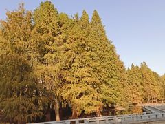 -白塘生态植物园