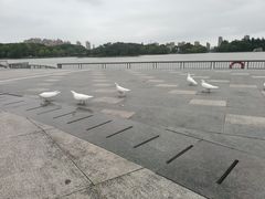 -东湖景区