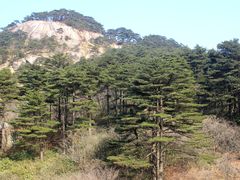 -黄山北海宾馆