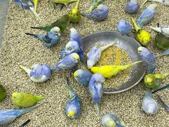 -三旗百汇商品城