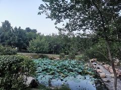 -长春世界雕塑园冰雪艺术天地