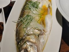 清蒸太湖白鱼-金枝玉叶上海人家食府(三里河店)