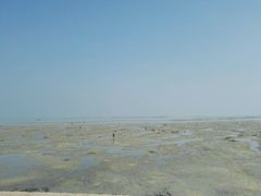 -北海金海湾红树林生态旅游区