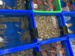 -七鲜渔港美食餐厅(巽寮湾海景店)