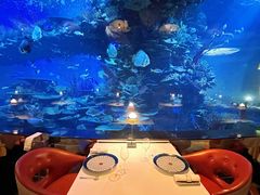 -迪拜帆船酒店海底餐厅