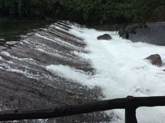 石台牯牛降-石台牯牛降景区