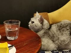 -不舍昼夜咖啡馆