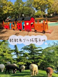 -酷酷兔少儿拓展天地
