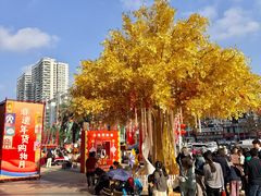 -友谊阳光城
