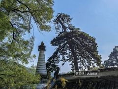 -潭柘寺景区