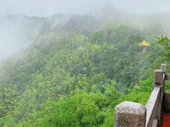 -莫干山风景区