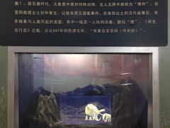 -河南自然博物馆