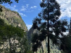 -刘伯温故里景区百丈漈