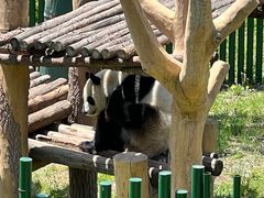 -沈阳森林动物园