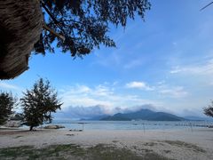 -花海间·即刻露营
