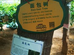 -北戴河集发农业梦想王国