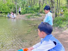 -青龙山国家森林公园