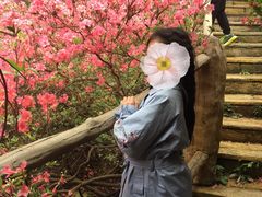 -木兰云雾山