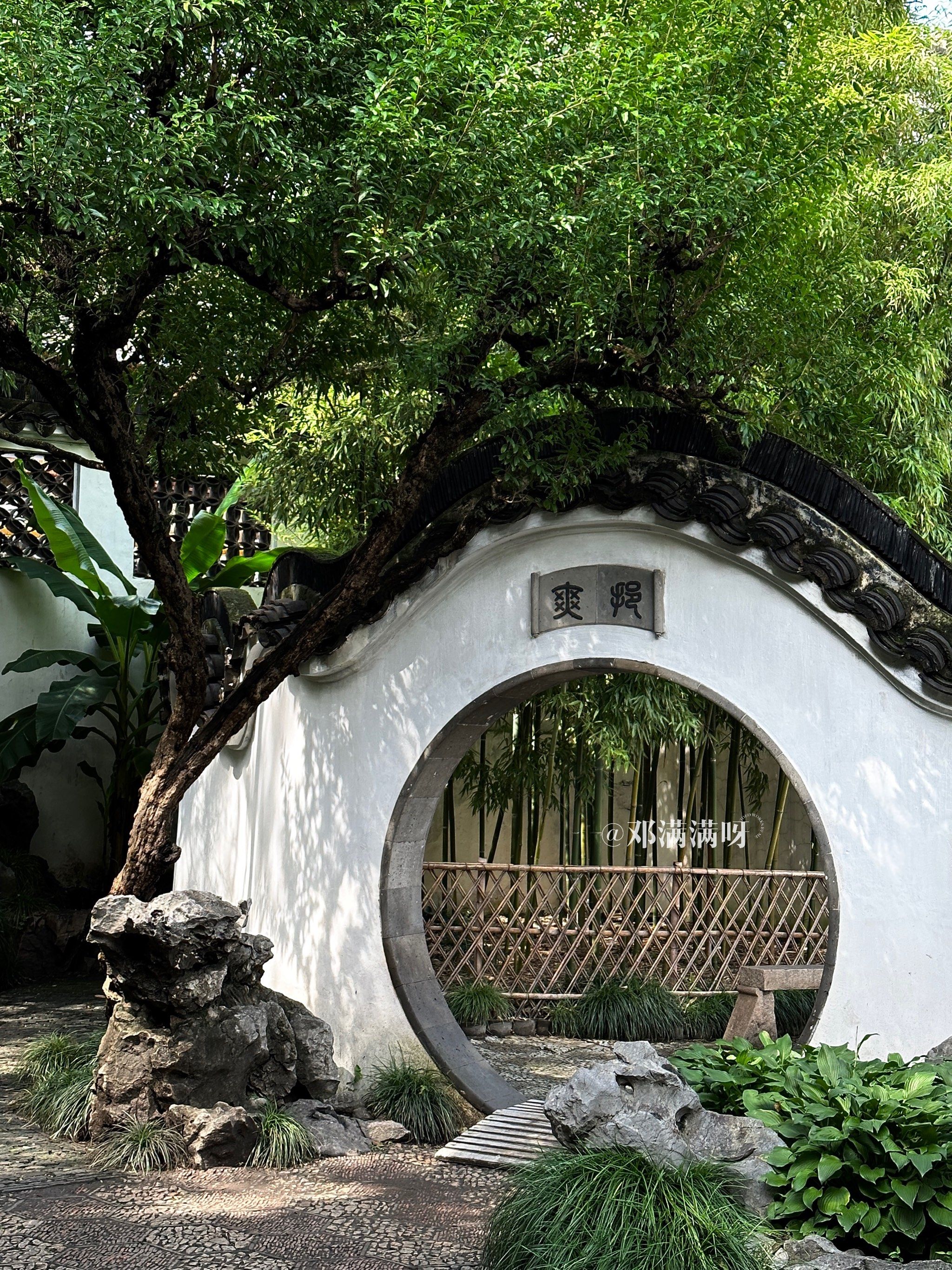 淡季的苏州园林,堪称人间理想