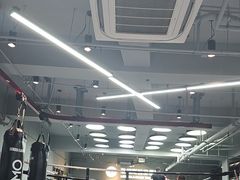 -花环泰拳·勒德斯拉泰拳馆(静安店)