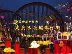 -大唐不夜城